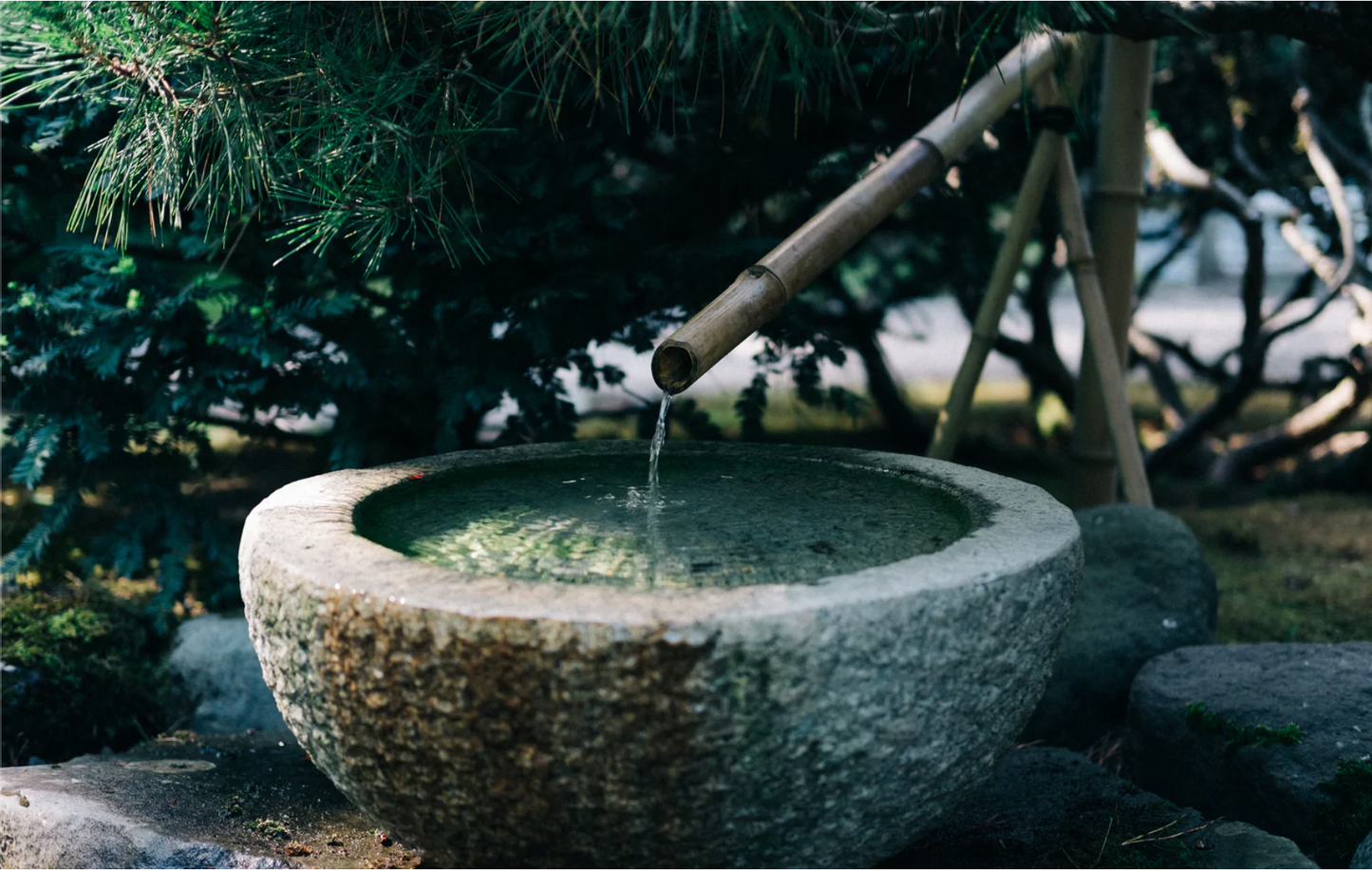 Wabi Sabi